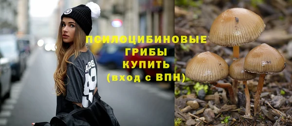 PSILOCYBIN Балахна