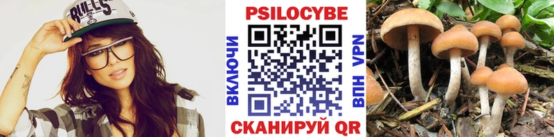 Галлюциногенные грибы Psilocybine cubensis  купить наркотики цена  Снежногорск 